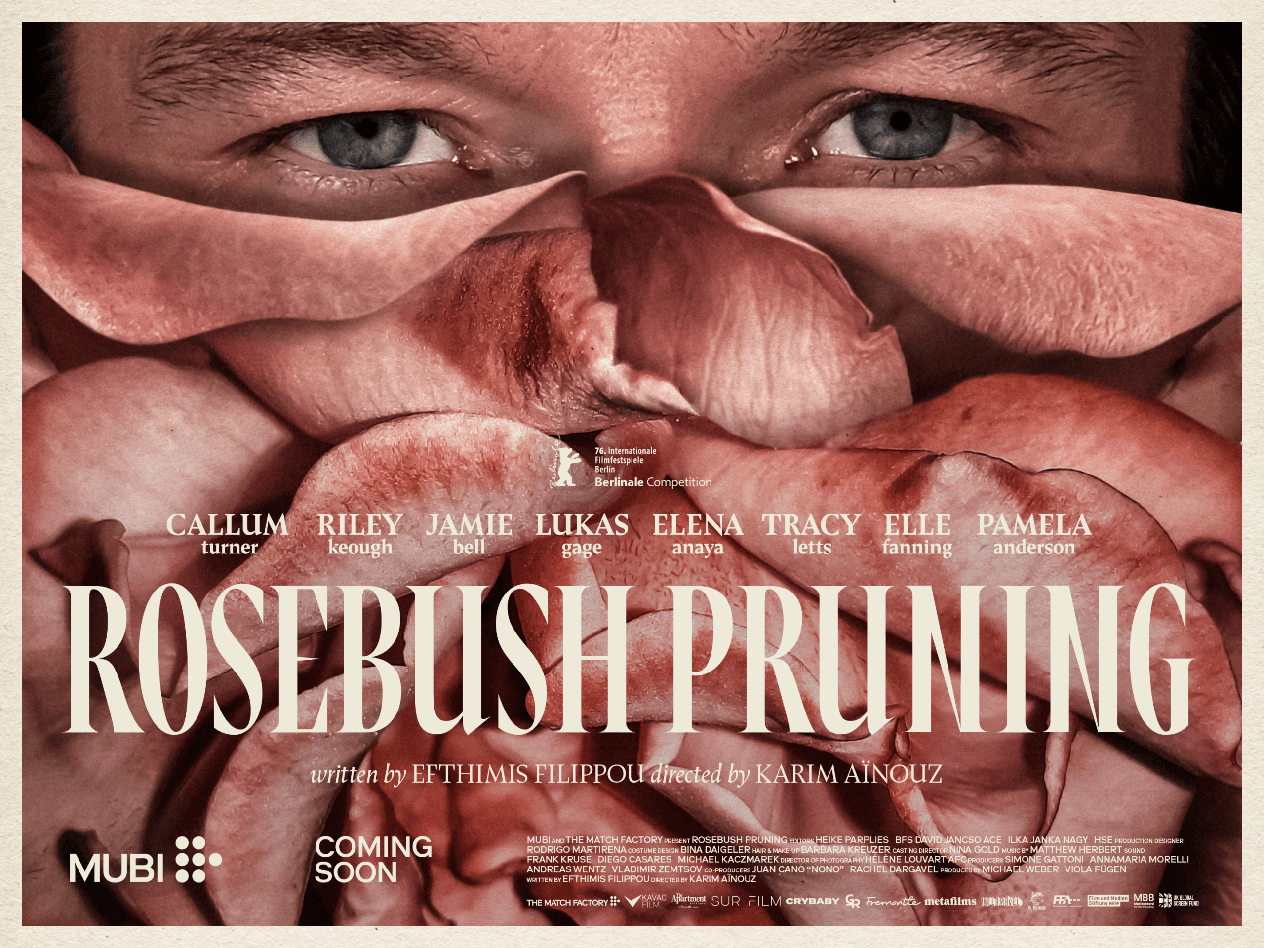 Rosebush Pruning