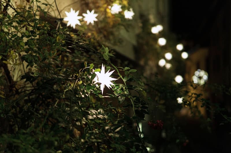 Bethlehem f'Għajnsielem 2026 — Live Nativity Village