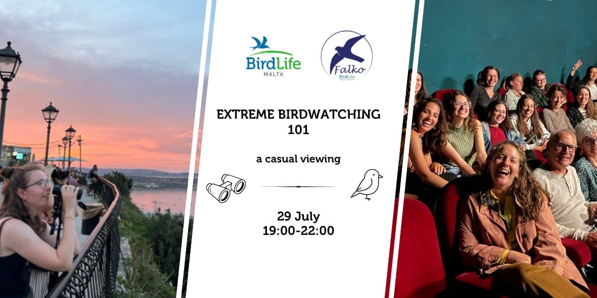 Extreme Birdwatching 101