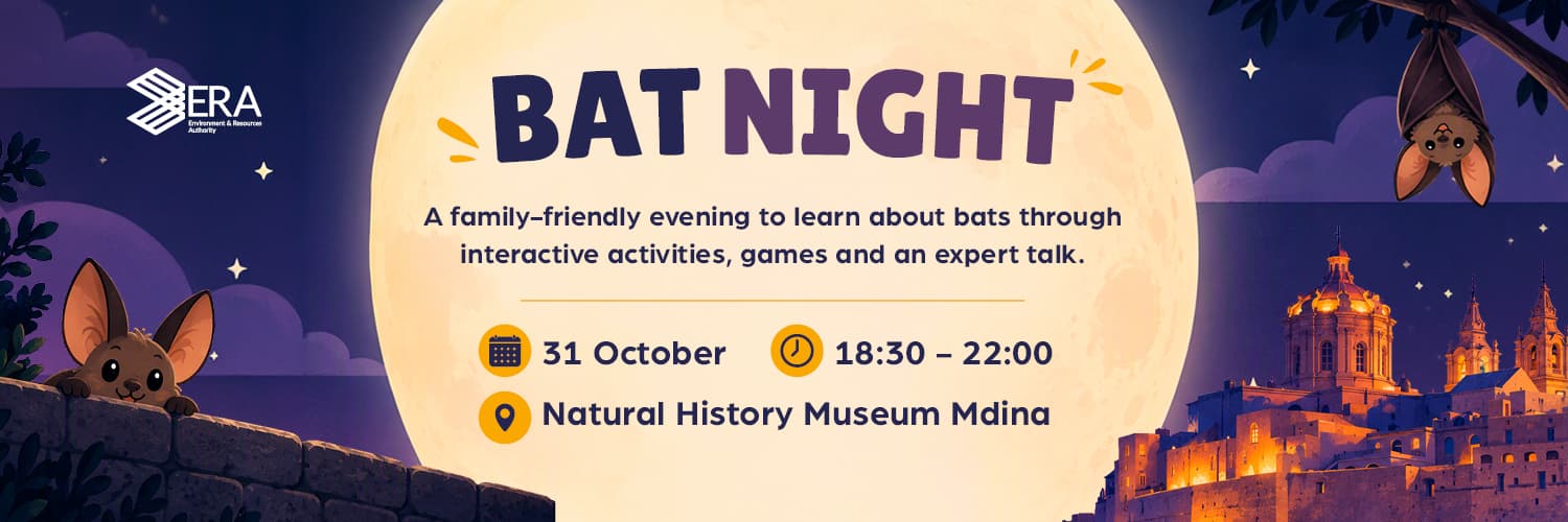 Bat Night