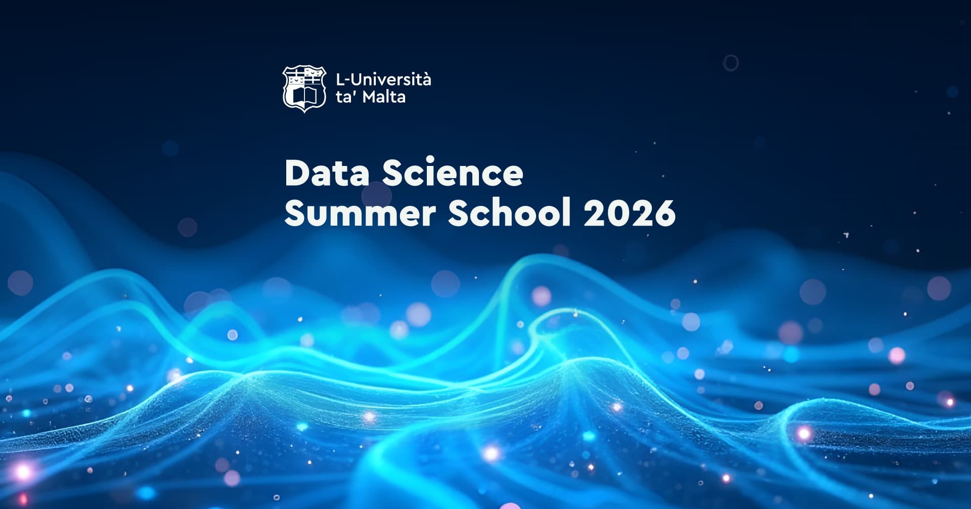 Data Science Summer School 2026