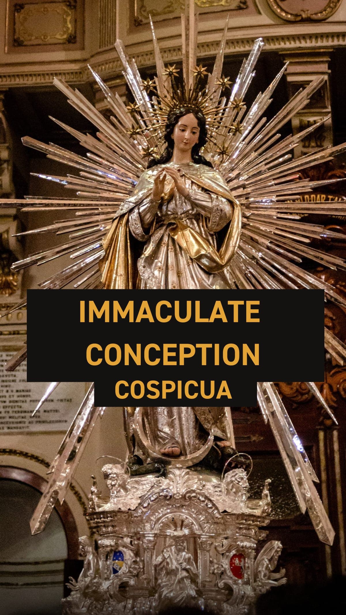 Feast of the Immaculate Conception - Bormla