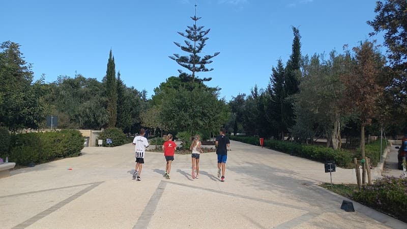 Malta Run Club — Friday Morning Run